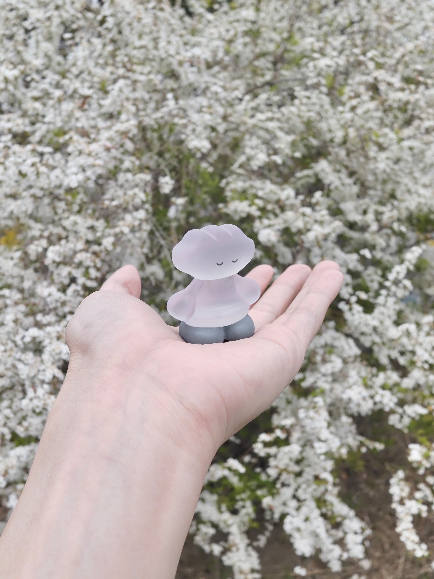 満開の白い花を背に、手のひらにのる小さな子